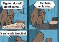 Enlace a Los problemas familiares salieron a la luz