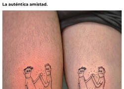 Enlace a No sois realmente amigos si no tenéis esto