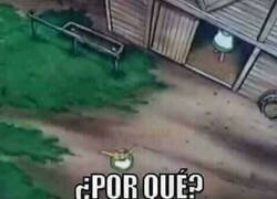 Enlace a ¿A quién le iba a pasar sino?