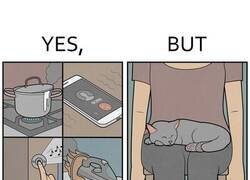 Enlace a No puedo atender