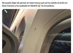 Enlace a Espero que buscara un cambio de aires