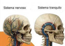 Enlace a Si estuviéramos bien hechos...