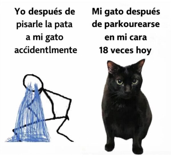 Otros - Él no se siente culpable