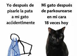 Enlace a Él no se siente culpable