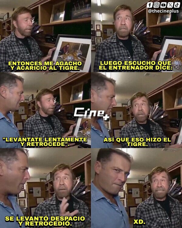 Meme_otros - Único e inigualable