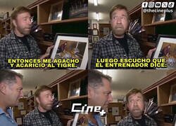 Enlace a Único e inigualable