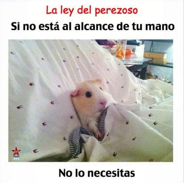 Otros - La ley del perezoso