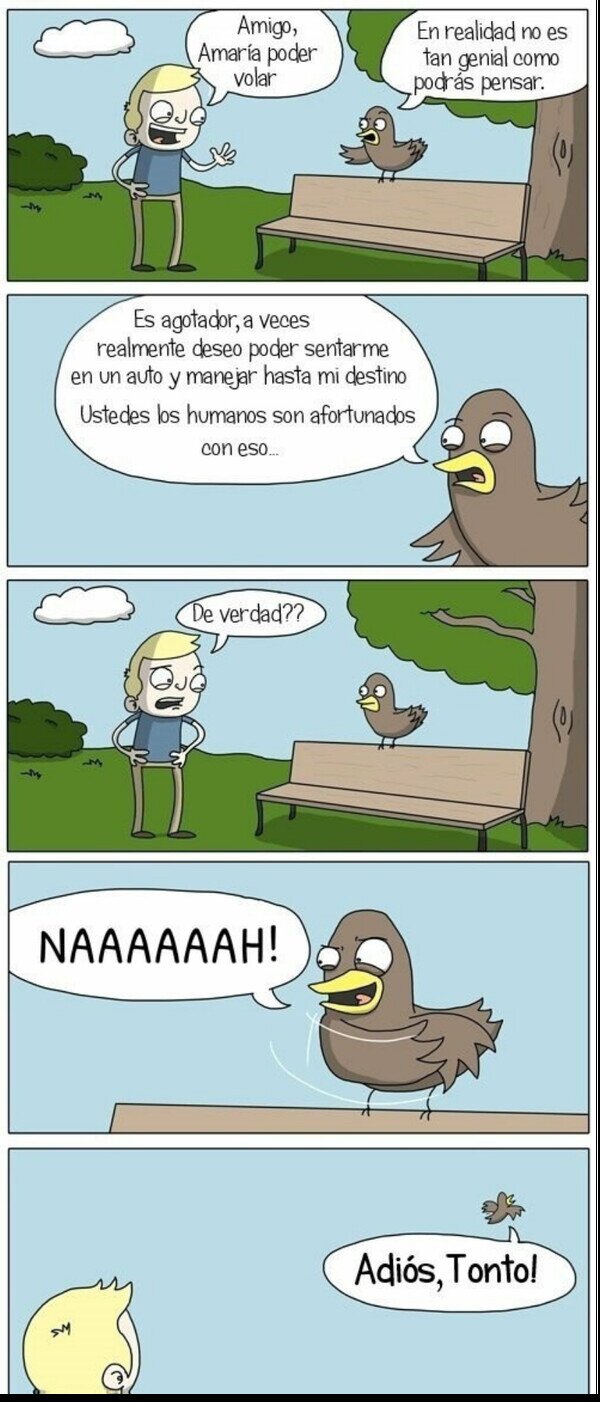 Otros - Ojalá poder volar como un pájaro...