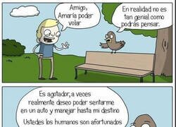 Enlace a Ojalá poder volar como un pájaro...