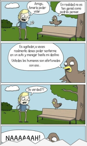 Mejor viñeta de ayer