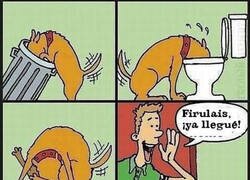 Enlace a El beso de tu perro