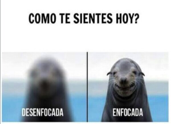 Otros - La tontería del día