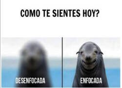 Enlace a La tontería del día