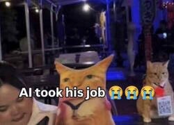 Enlace a Otro al que la IA le robó el trabajo