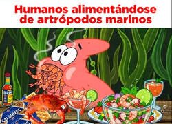 Enlace a Si vienen del mar, no pasa nada