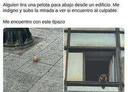 Enlace a No te puedes enfadar