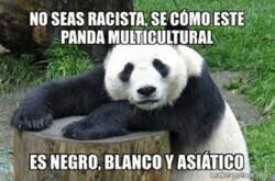 Enlace a Sé como este panda