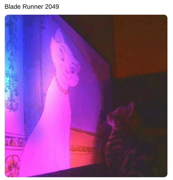 Meme_otros - Blade Runner versión gatuna