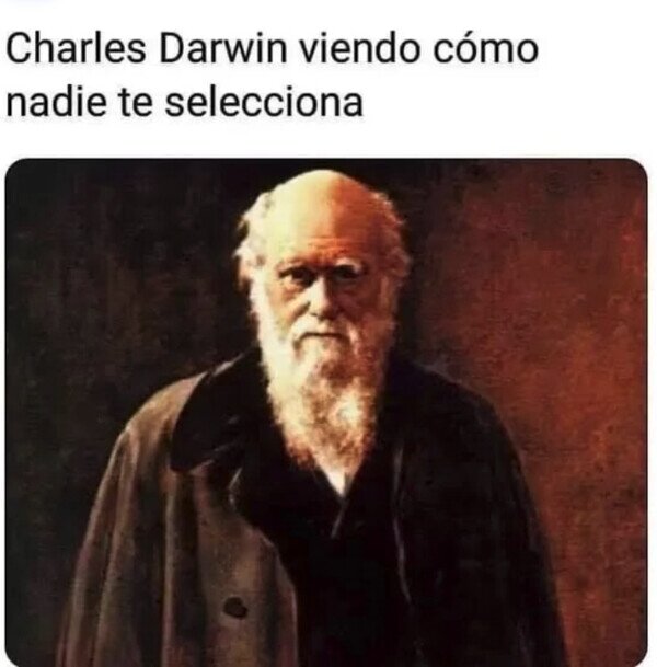 Meme_otros - Decepcionante