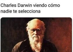 Enlace a Decepcionante