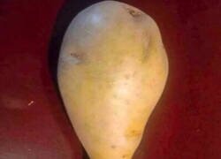 Enlace a Pollo vegano