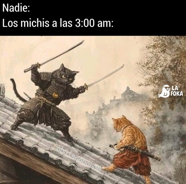 Meme_otros - La batalla se libra en el tejado