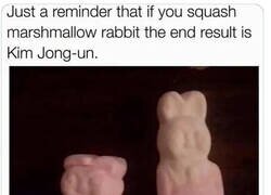 Enlace a Si aplastas un conejo de gominola, tienes un Kim Jong Un de gominola