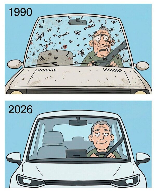 Meme_otros - ¿Por qué ya no hay mosquitos en la carretera?