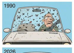 Enlace a ¿Por qué ya no hay mosquitos en la carretera?