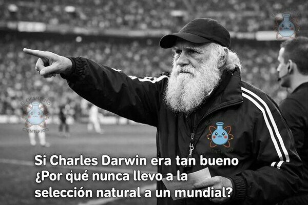 Otros - No sería tan buena selección...