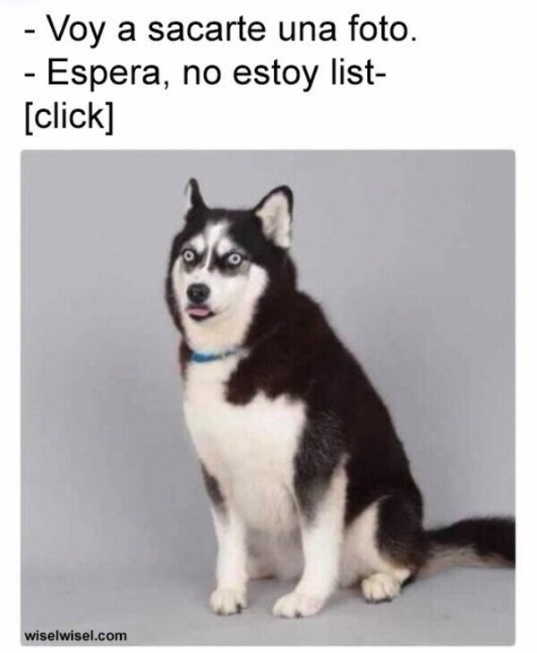 Meme_otros - Foto a traición