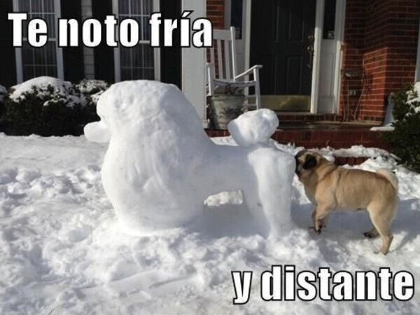 Meme_otros - La relación se ha enfriado