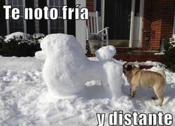 Enlace a La relación se ha enfriado