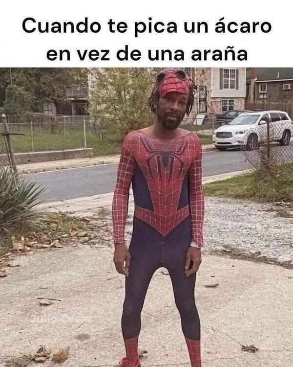 Meme_otros - SpiderMAL