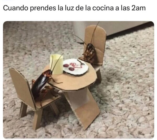 Otros - ¿Interrumpo algo?