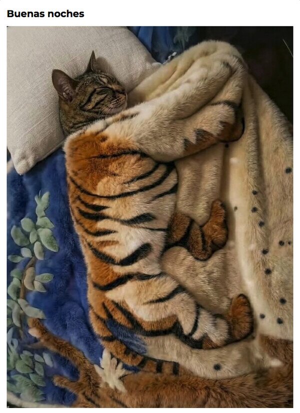 Meme_otros - Gustico visual