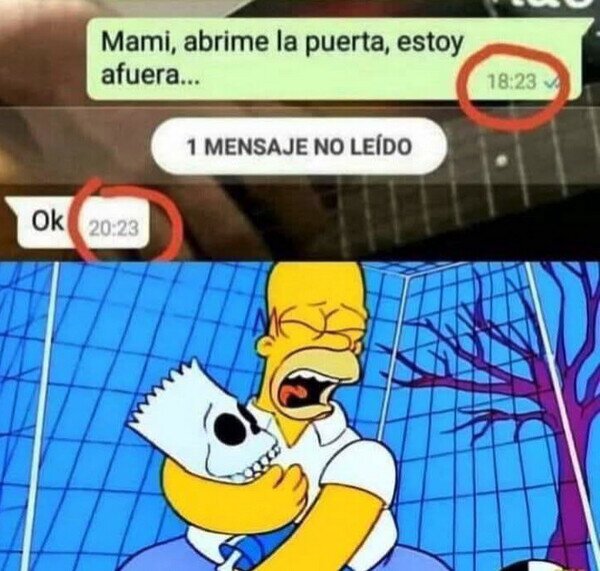 Meme_otros - Demasiado tarde