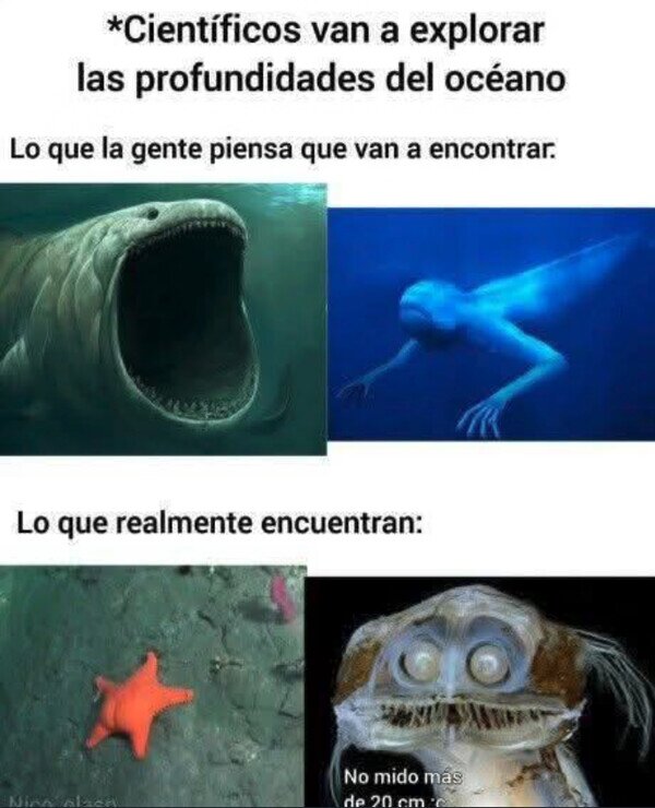 Meme_otros - En las profundidades del océano