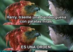 Enlace a La Orden del Fénix