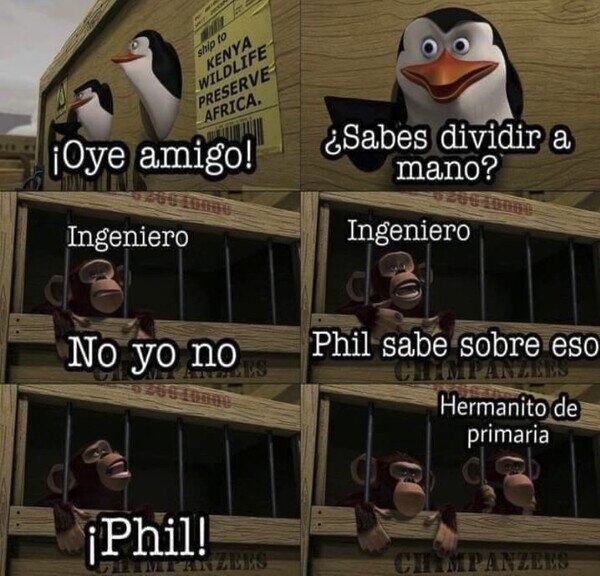 ingeniero,dividir,mano,primaria