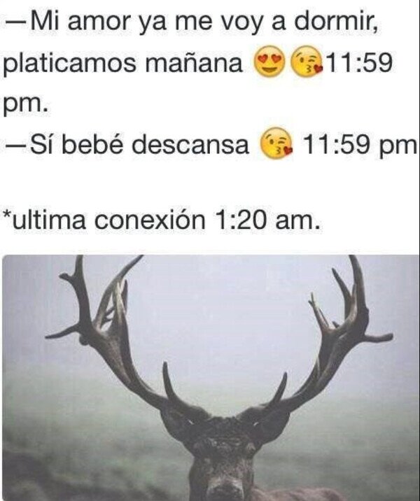 Meme_otros - Sinónimo de cuernos