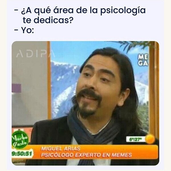 experto,psicolog&iacute;a,memes