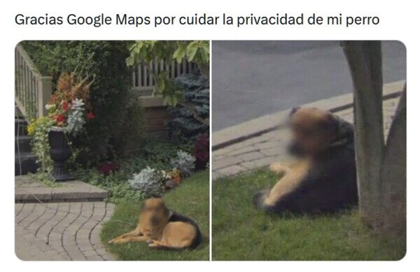 Otros - El Firulais lo agradece