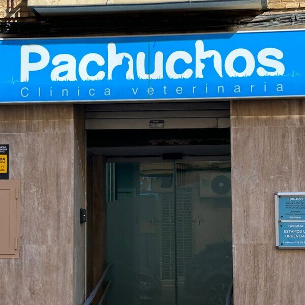 Otros - El mejor nombre posible para una veterinaria