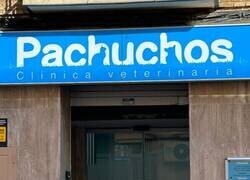 Enlace a El mejor nombre posible para una veterinaria