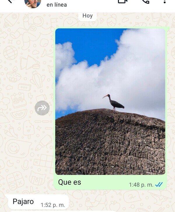 Otros - Lo bueno de tener amigos biólogos