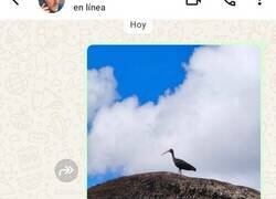 Enlace a Lo bueno de tener amigos biólogos