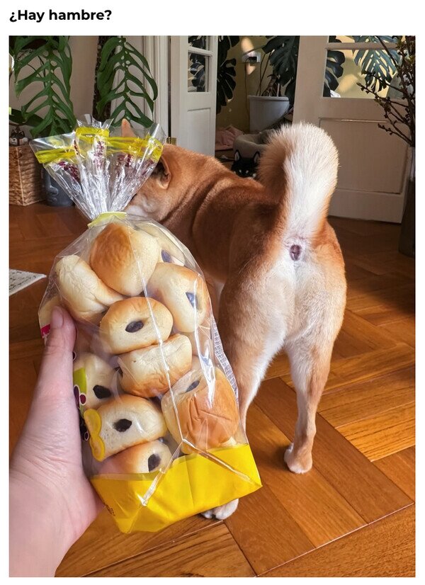 Meme_otros - No volveré a verlos igual...