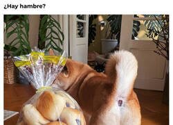 Enlace a No volveré a verlos igual...