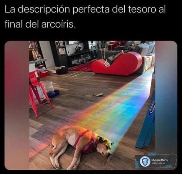 Otros - Las teorías eran ciertas...